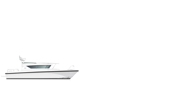 Model 290 sw